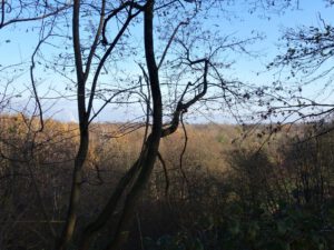 Die Halde Rheinelbe in Gelsenkirchen Ückendorf im November 2020