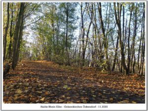 Die Halde Rheinelbe in Gelsenkirchen Ückendorf im November 2020