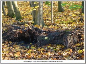 Die Halde Rheinelbe in Gelsenkirchen Ückendorf im November 2020