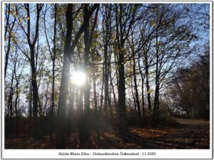 Die Halde Rheinelbe in Gelsenkirchen Ückendorf im November 2020