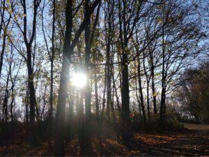 Die Halde Rheinelbe in Gelsenkirchen Ückendorf im November 2020