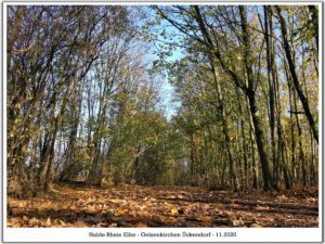 Die Halde Rheinelbe in Gelsenkirchen Ückendorf im November 2020