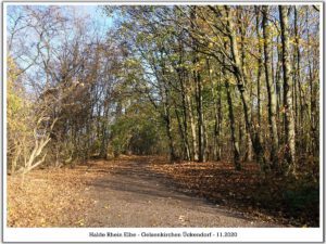 Die Halde Rheinelbe in Gelsenkirchen Ückendorf im November 2020