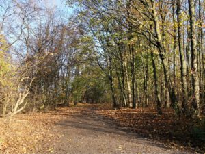 Die Halde Rheinelbe in Gelsenkirchen Ückendorf im November 2020