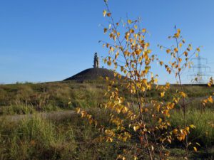 Die Halde Rheinelbe in Gelsenkirchen Ückendorf im November 2020