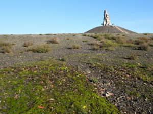 Die Halde Rheinelbe in Gelsenkirchen Ückendorf im November 2020