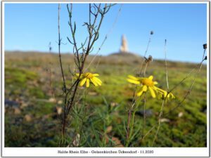 Die Halde Rheinelbe in Gelsenkirchen Ückendorf im November 2020