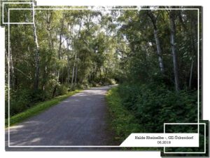 Die Halde Rheinelbe in Gelsenkirchen Ückendorf im Juni 2019