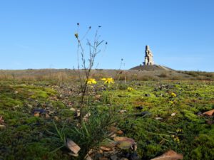 Die Halde Rheinelbe in Gelsenkirchen Ückendorf im November 2020