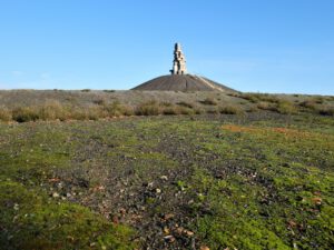 Die Halde Rheinelbe in Gelsenkirchen Ückendorf im November 2020