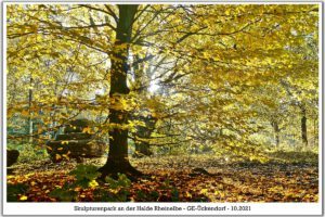 Die Halde Rheinelbe in Gelsenkirchen Ückendorf im Oktober 2021