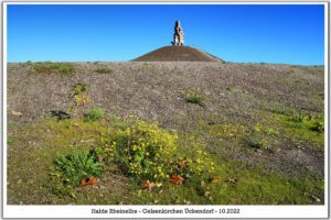 Die Halde Rheinelbe in Gelsenkirchen Ückendorf im Oktober 2022