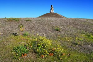 Die Halde Rheinelbe in Gelsenkirchen Ückendorf im Oktober 2022