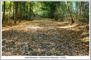 Die Halde Rheinelbe in Gelsenkirchen Ückendorf im Oktober 2022