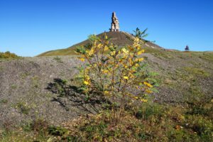 Die Halde Rheinelbe in Gelsenkirchen Ückendorf im Oktober 2022