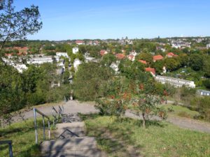 Die Halde Rungenberg in Gelsenkirchen Buer im September 2020