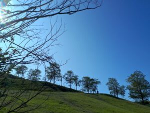 Die Halde Rungenberg in Gelsenkirchen Buer im September 2020