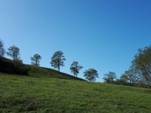 Die Halde Rungenberg in Gelsenkirchen Buer im September 2020