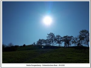 Die Halde Rungenberg in Gelsenkirchen Buer im September 2020