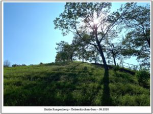 Die Halde Rungenberg in Gelsenkirchen Buer im September 2020