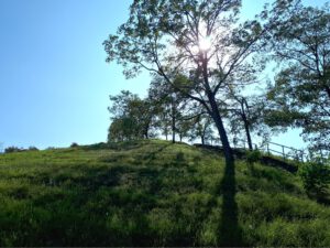 Die Halde Rungenberg in Gelsenkirchen Buer im September 2020
