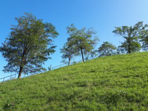 Die Halde Rungenberg in Gelsenkirchen Buer im September 2020