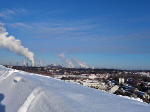 Winter auf der Halde Rungenberg in Gelsenkirchen Buer im Februar 2021