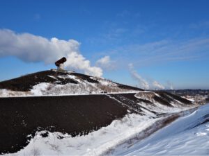 Winter auf der Halde Rungenberg in Gelsenkirchen Buer im Februar 2021