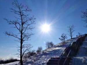 Winter auf der Halde Rungenberg in Gelsenkirchen Buer im Februar 2021
