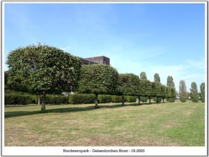 Der Nordsternpark in Gelsenkirchen Horst im September 2020