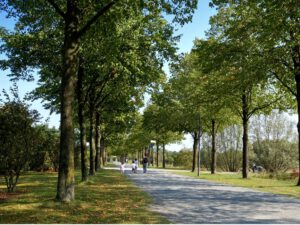 Der Nordsternpark in Gelsenkirchen Horst im September 2020