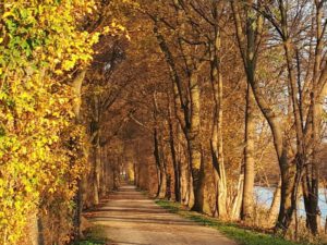 Der Rhein-Herne-Kanal bei Gelsenkirchen im November 2020