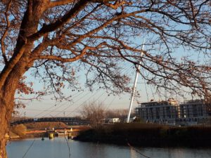 Der Rhein-Herne-Kanal bei Gelsenkirchen im November 2020