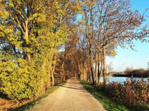 Der Rhein-Herne-Kanal bei Gelsenkirchen im November 2020