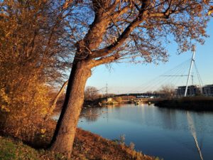 Der Rhein-Herne-Kanal bei Gelsenkirchen im November 2020