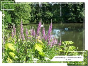 Schloss Berge in Gelsenkirchen Buer im Juli 2019