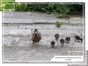Schloss Berge in Gelsenkirchen Buer im Juli 2019