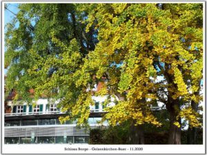 Schloss Berge in Gelsenkirchen Buer im November 2020