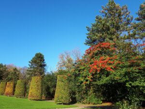 Schloss Berge in Gelsenkirchen Buer im November 2020