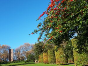 Schloss Berge in Gelsenkirchen Buer im November 2020