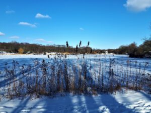 Winter im Schloss Berge in Gelsenkirchen Buer im Februar 2021