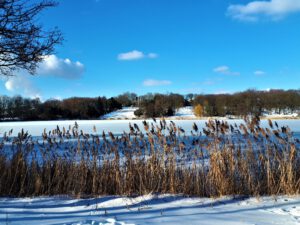 Winter im Schloss Berge in Gelsenkirchen Buer im Februar 2021
