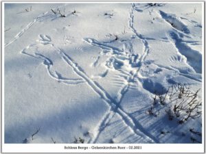 Winter im Schloss Berge in Gelsenkirchen Buer im Februar 2021