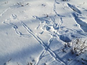Winter im Schloss Berge in Gelsenkirchen Buer im Februar 2021