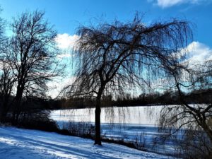 Winter im Schloss Berge in Gelsenkirchen Buer im Februar 2021