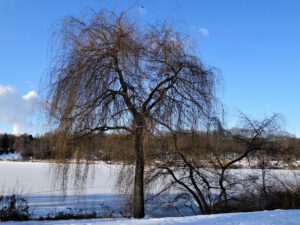 Winter im Schloss Berge in Gelsenkirchen Buer im Februar 2021