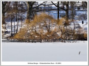 Winter im Schloss Berge in Gelsenkirchen Buer im Februar 2021