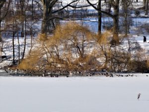 Winter im Schloss Berge in Gelsenkirchen Buer im Februar 2021