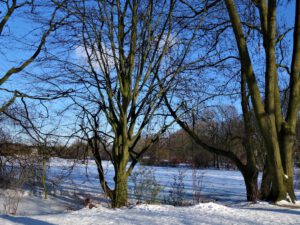 Winter im Schloss Berge in Gelsenkirchen Buer im Februar 2021