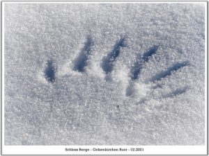 Winter im Schloss Berge in Gelsenkirchen Buer im Februar 2021